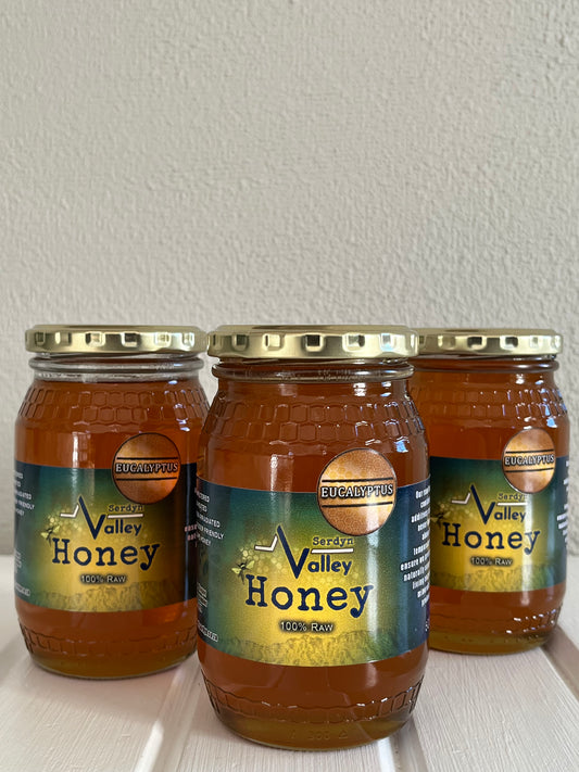 Raw Eucalyptus Honey - glass jar (500g)